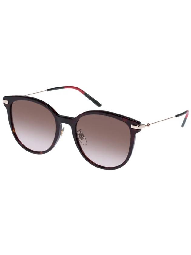 Eyewear Logo Round Acetate Sunglasses Brown Havana - GUCCI - BALAAN 1