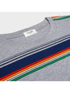 Rouge Triomphe T Shirt Striped Cotton Jersey Gray Multicolor - CELINE - BALAAN 3