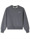 Boxy Petit VPC Sweatshirt Grey - A.P.C. - BALAAN 2