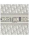 Oblique Medium Book Tote Bag Ecru Grey - DIOR - BALAAN 6