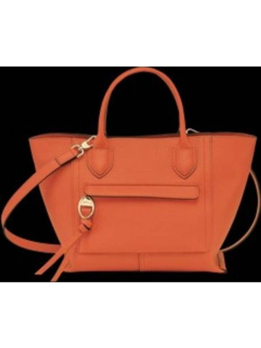 bag 10104HTAP69 10104 HTA P69 - LONGCHAMP - BALAAN 1