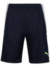 Team Liga Training Shorts Navy - PUMA - BALAAN 3