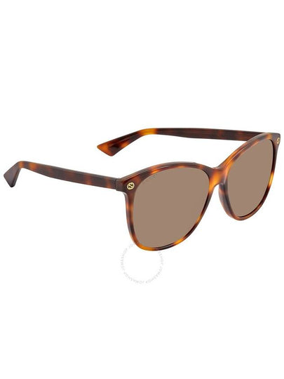 Eyewear Havana Logo Sunglasses Brown - GUCCI - BALAAN 2