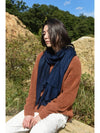 Cashmere Pashmina Muffler Navy - WILL'O THE WISP - BALAAN 3