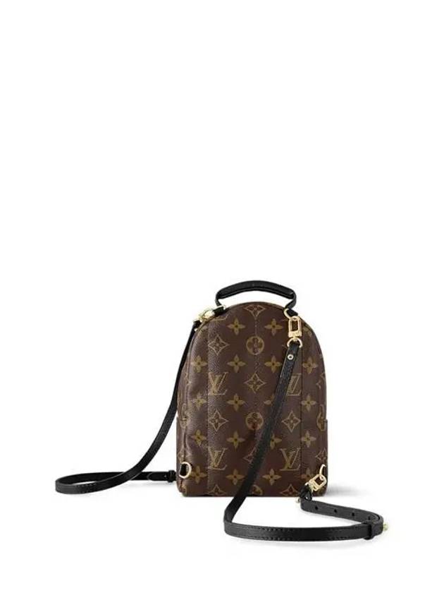 Palm Springs Monogram Mini Backpack Brown - LOUIS VUITTON - BALAAN 8