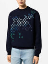 1AFVBE Embroidered Cotton Sweatshirt - LOUIS VUITTON - BALAAN 1