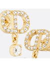 Petit CD Earrings Gold Finish Metal Silver Tone Crystal - DIOR - BALAAN 2