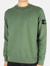 Wappen Patch Crew Neck Sweatshirt Green - STONE ISLAND - BALAAN 3