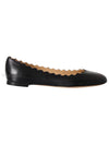 Lauren Ballerina Shoes Black - CHLOE - BALAAN.