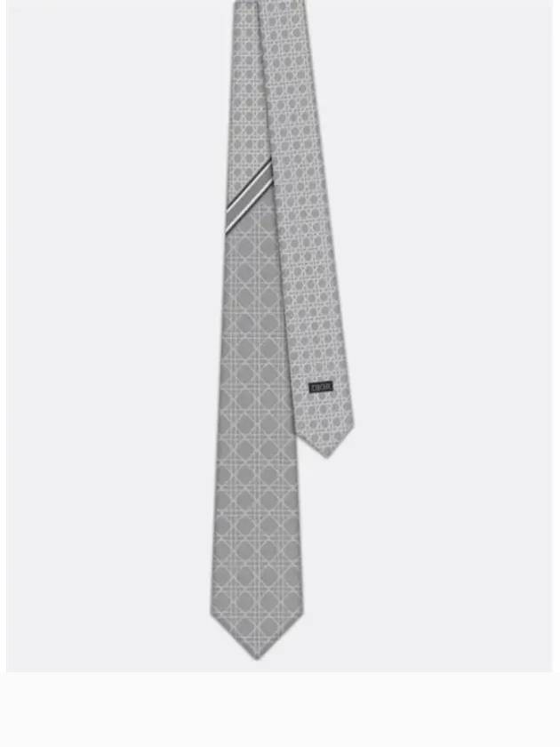 Striped Cannage Silk Tie Grey - DIOR - BALAAN 2