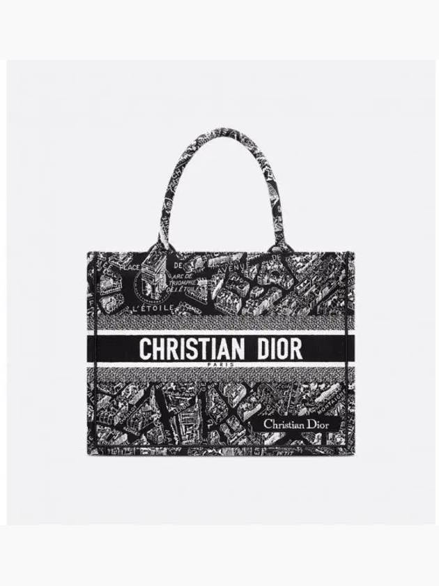 Plan Paris Medium Book Tote Bag - DIOR - BALAAN 2