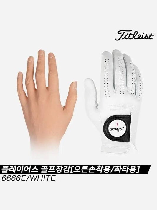 PLAYERS Golf Gloves 6666E White Right Hand Wearing Left Handed For Men - TITLEIST - BALAAN 1