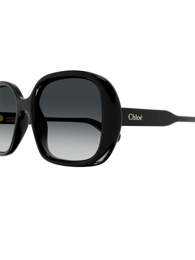 Chloé Sunglasses - CHLOE - BALAAN 2