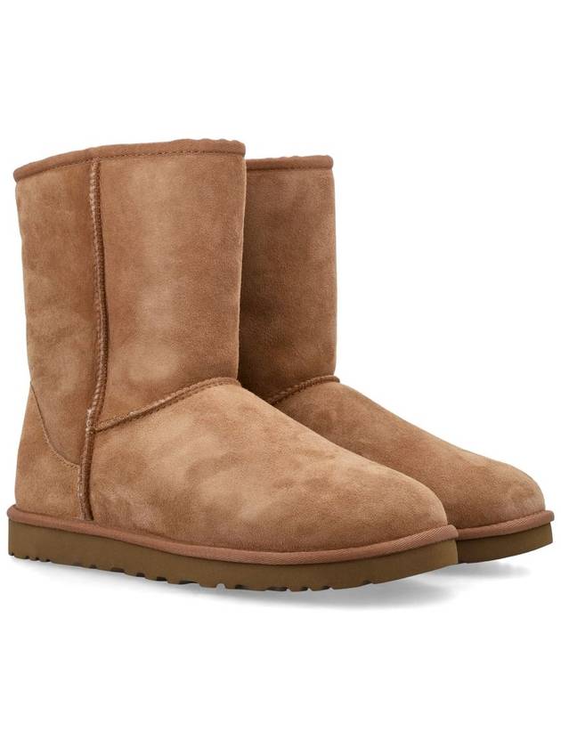 Classic Short Winter Boots Chestnut - UGG - BALAAN 3