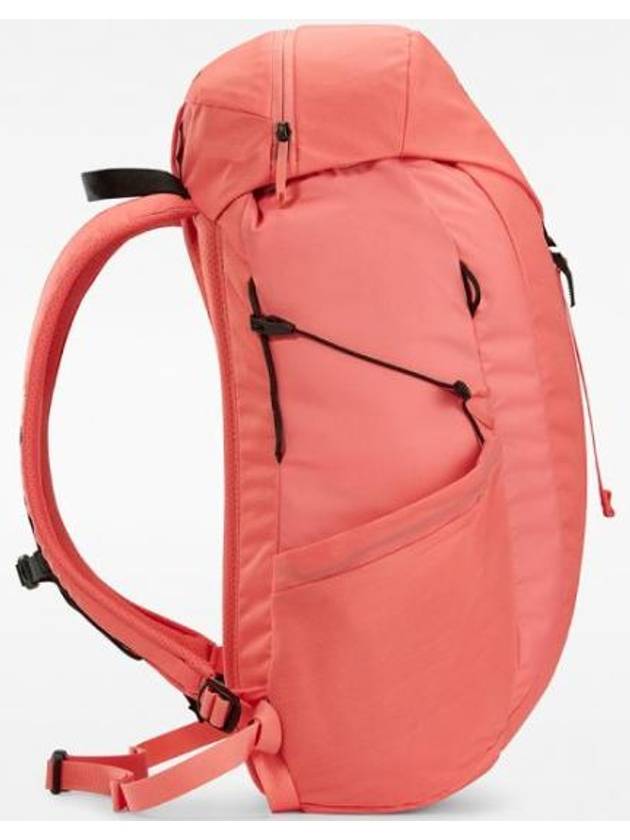 Mantis 20 Backpack Solastar - ARC'TERYX - BALAAN 4