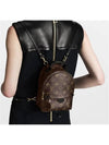 Palm Springs Monogram Mini Backpack Brown - LOUIS VUITTON - BALAAN 3