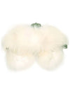 12th Anniversary Raccoon Fur Muffler Ivory CL001 C1016 - MR & MRS ITALY - BALAAN 3