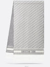 Dior Oblique Scarf White Cashmere Blend Silver - DIOR - BALAAN 3