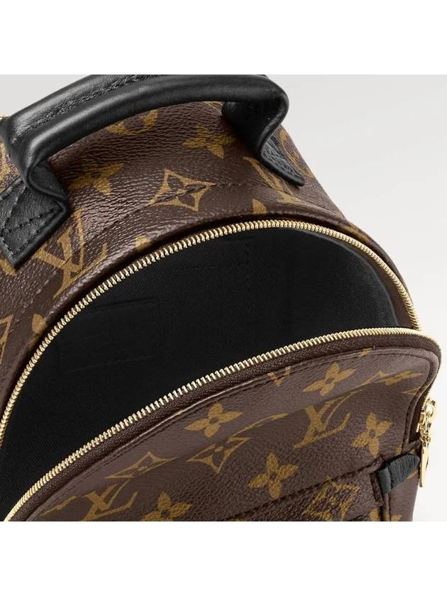 Palm Springs Monogram Mini Backpack Brown - LOUIS VUITTON - BALAAN 6