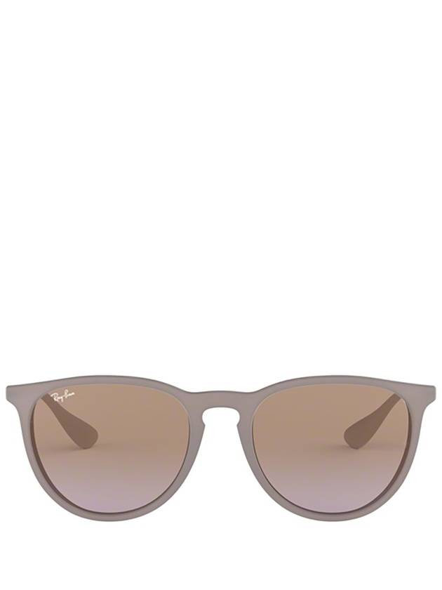 Erica Classic Round Frame Sunglasses Brown - RAY-BAN - BALAAN 1