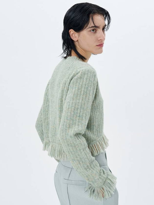 Ribbed Knit Fringed Pullover Knit Top Mint - ETCH - BALAAN 2