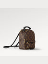 Palm Springs Monogram Mini Backpack Brown - LOUIS VUITTON - BALAAN 3