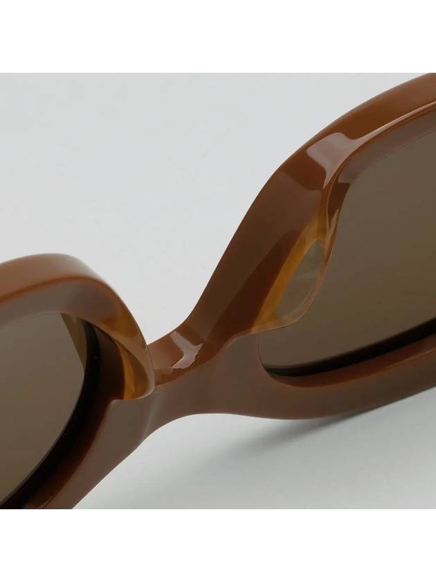 Eyewear Triomphe Logo Temple Sunglasses Brown - CELINE - BALAAN 7