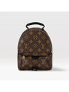 Palm Springs Monogram Mini Backpack Brown - LOUIS VUITTON - BALAAN 2