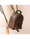 Palm Springs Monogram Mini Backpack Brown - LOUIS VUITTON - BALAAN 4