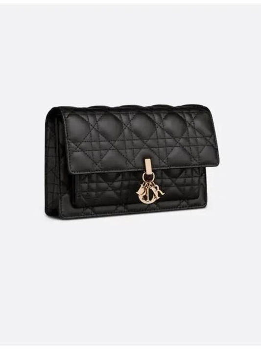My Daily Chain Pouch Crossbody Shoulder Bag S0937ONMJ - DIOR - BALAAN 2