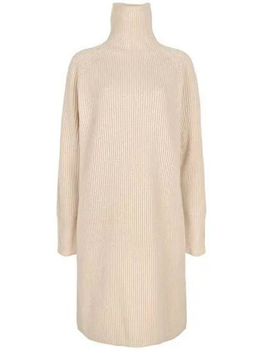 Albino Everyone Turtleneck Wool Cashmere Piece EBRIDI 002 1208914 - MAX MARA - BALAAN 1