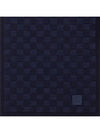 Neo Petit Damier Scarf Navy - LOUIS VUITTON - BALAAN 4