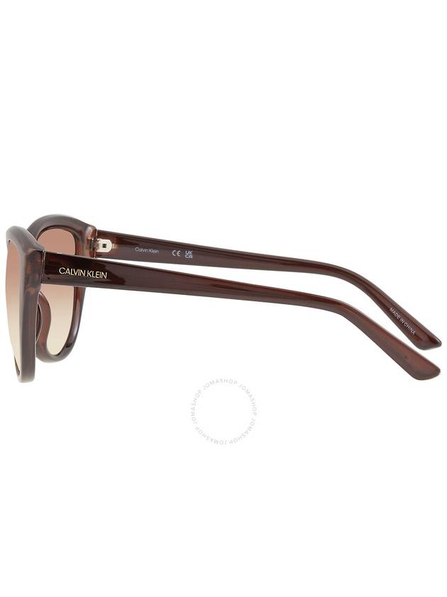 Calvin Klein Brown Gradient Cat Eye Ladies Sunglasses CK19536S 210 55 - CALVIN KLEIN - BALAAN 3