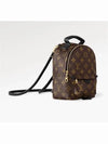 Palm Springs Monogram Mini Backpack Brown - LOUIS VUITTON - BALAAN 2