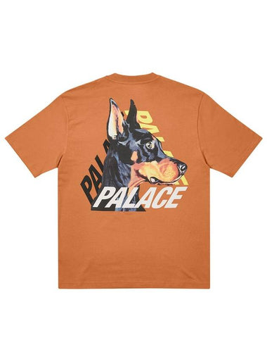 P3K9 TShirt Caramel P3K9 TShirt Caramel - PALACE - BALAAN 1