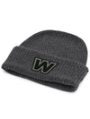 Alben Logo Virgin Wool Beanie Grey - MAX MARA - BALAAN 4