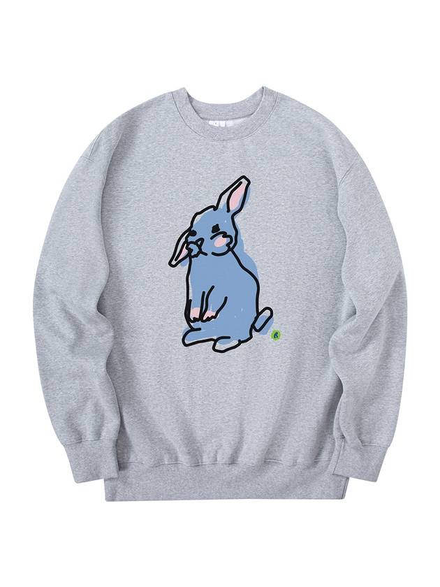 Rabbit Sweatshirt Gray - RADINEO - BALAAN 1