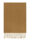 Buona Scarf Brown - MAX MARA - BALAAN 2