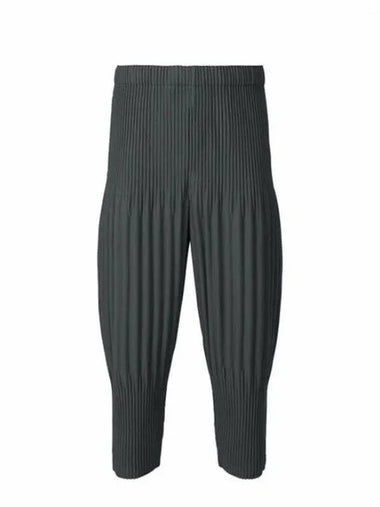 Homme Plissé Monthly Pants Pants JF104 - ISSEY MIYAKE - BALAAN 1