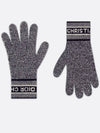 Logo Gloves Grey - DIOR - BALAAN 2