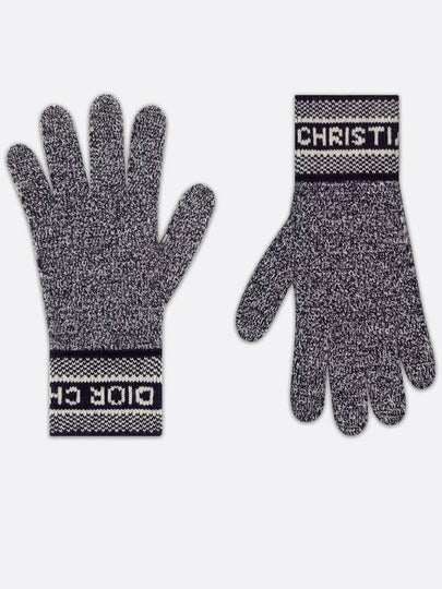 logo gloves gray - DIOR - BALAAN 2