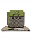 Ophidia medium tote bag 739730 - GUCCI - BALAAN 10