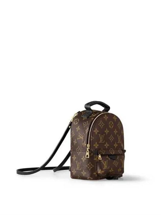 Palm Springs Monogram Mini Backpack Brown - LOUIS VUITTON - BALAAN 2