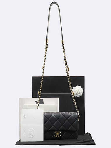 Chanel AS3369 Black Color Caviar Skin Gold Metal Coin Double Chain Small Flap Shoulder Bag - CHANEL - BALAAN 1