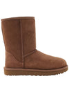 Women's Classic Shorts Boots 1016223 CHESTNUT - UGG - BALAAN 2