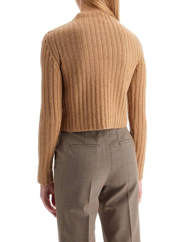 Aloa Wool Cashmere Cropped Knit Top Brown - MAX MARA - BALAAN 4