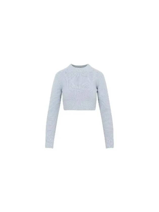 Max Mara KAYA Cashmere Crop Knit 2313661733600 12106 001 - MAX MARA - BALAAN 1