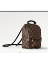 Palm Springs Monogram Mini Backpack Brown - LOUIS VUITTON - BALAAN 4