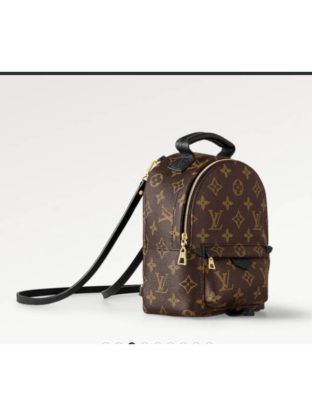 Palm Springs Monogram Mini Backpack Brown - LOUIS VUITTON - BALAAN 4