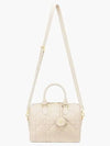 Dior Groove 25 Bag M1365UBOL M49U - DIOR - BALAAN 6